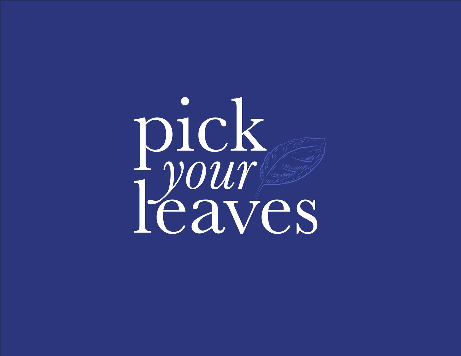 Early logo drafts exploring letterform and mark variations